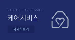 케어서비스